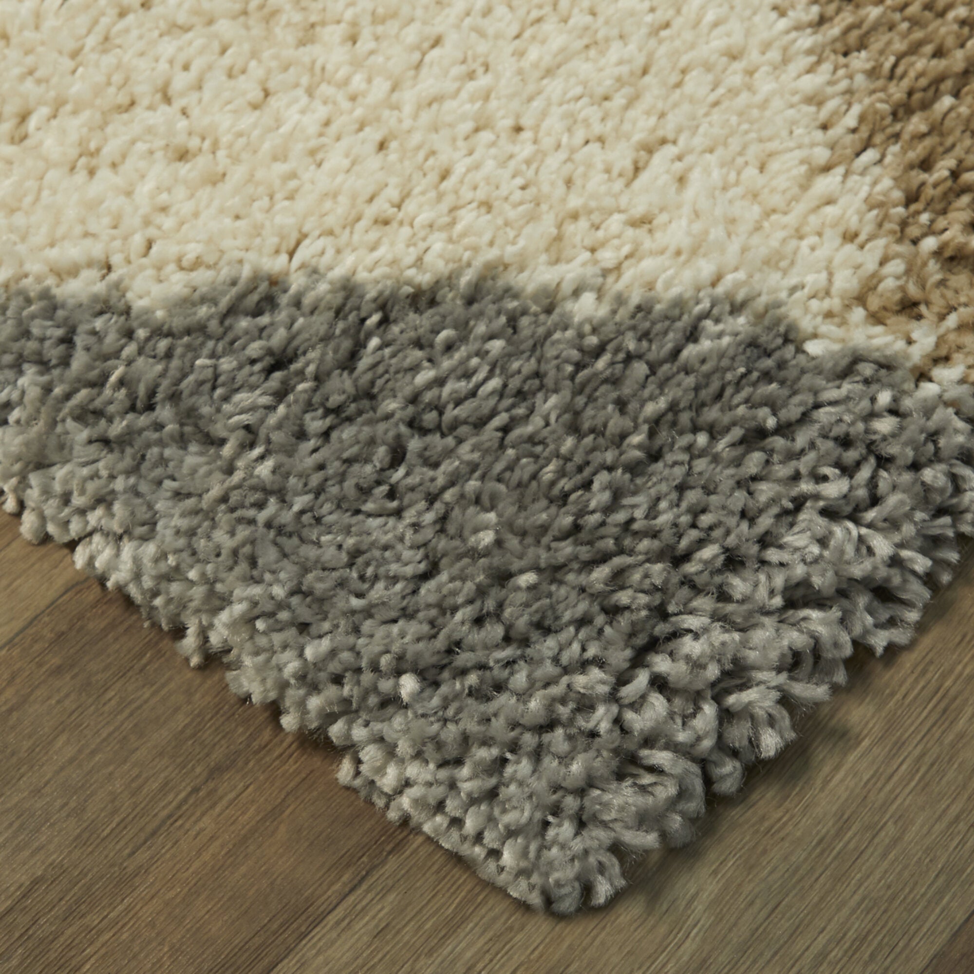 Parler Modern Shag Area Rug