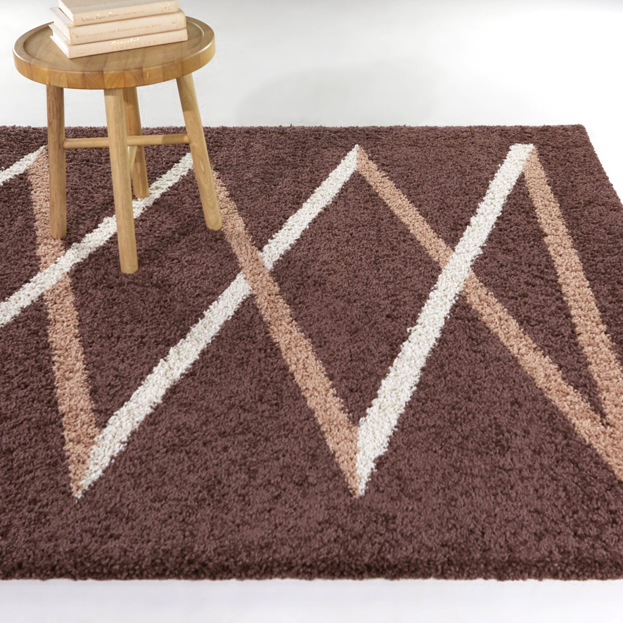 Lanier Contemporary Shag Area Rug