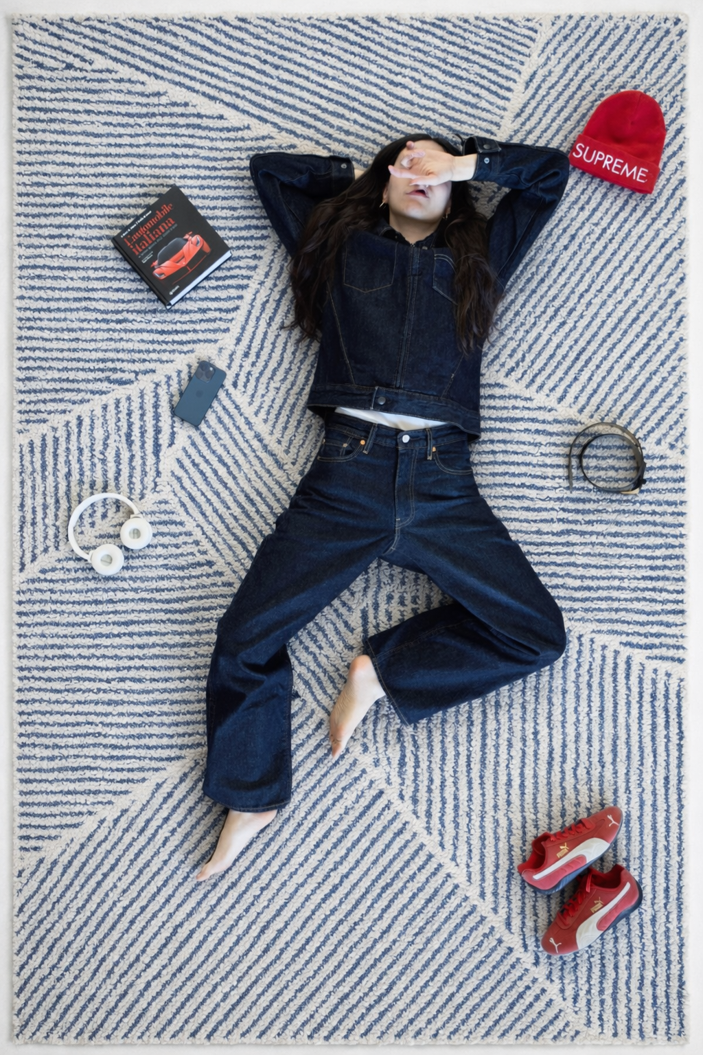 Larsen Modern Stripe Area Rug