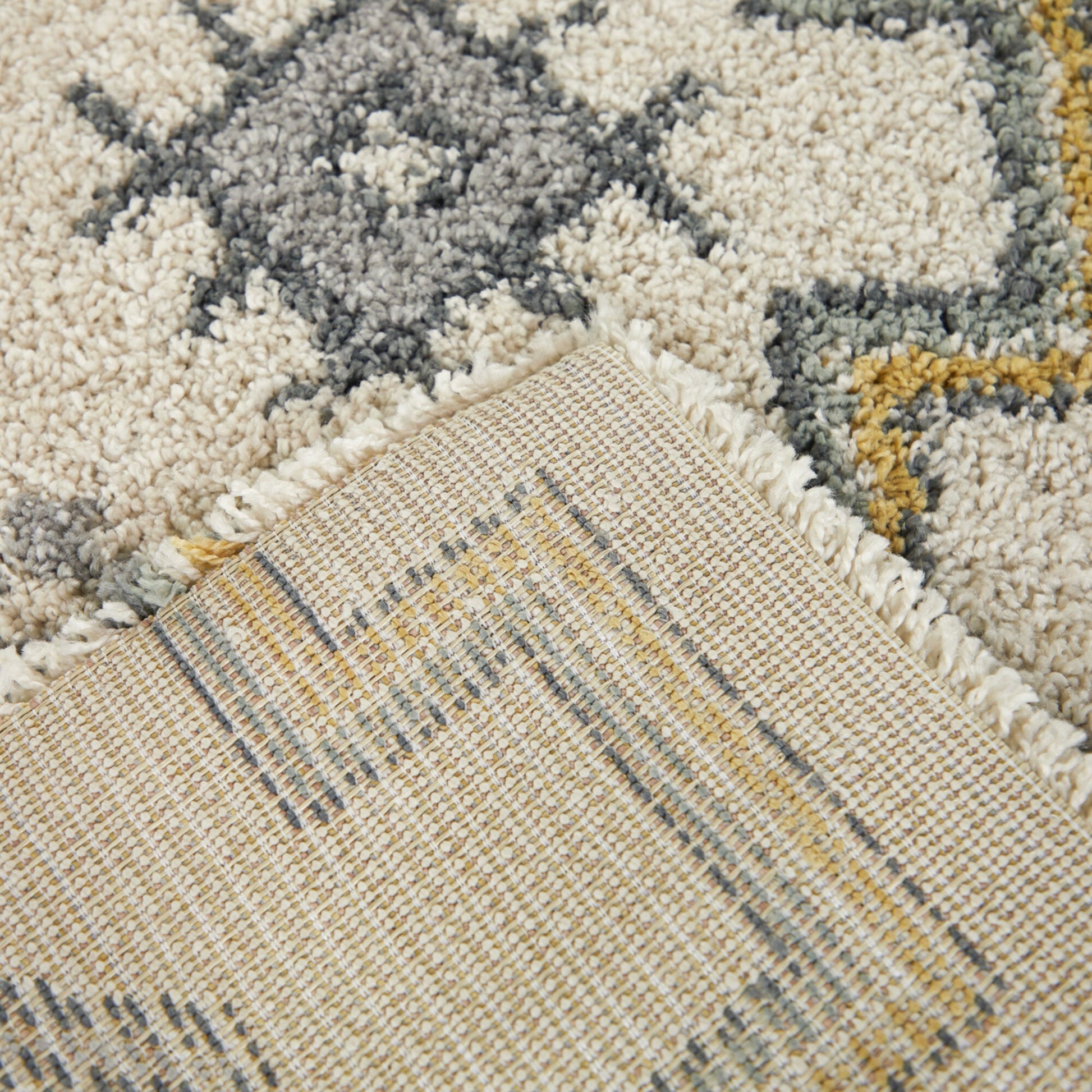 Felipe Southwestern Shag Area Rug