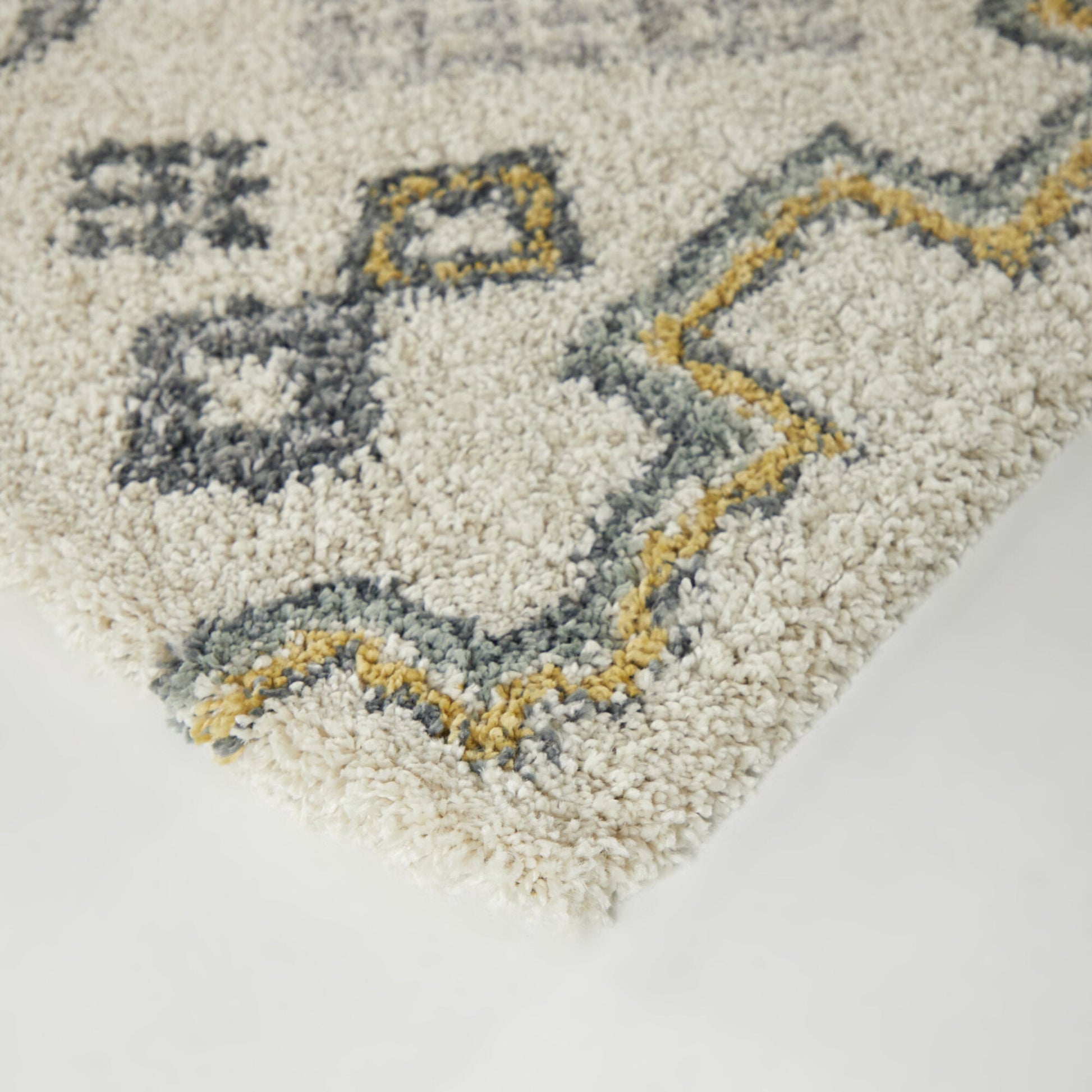 Felipe Southwestern Shag Area Rug
