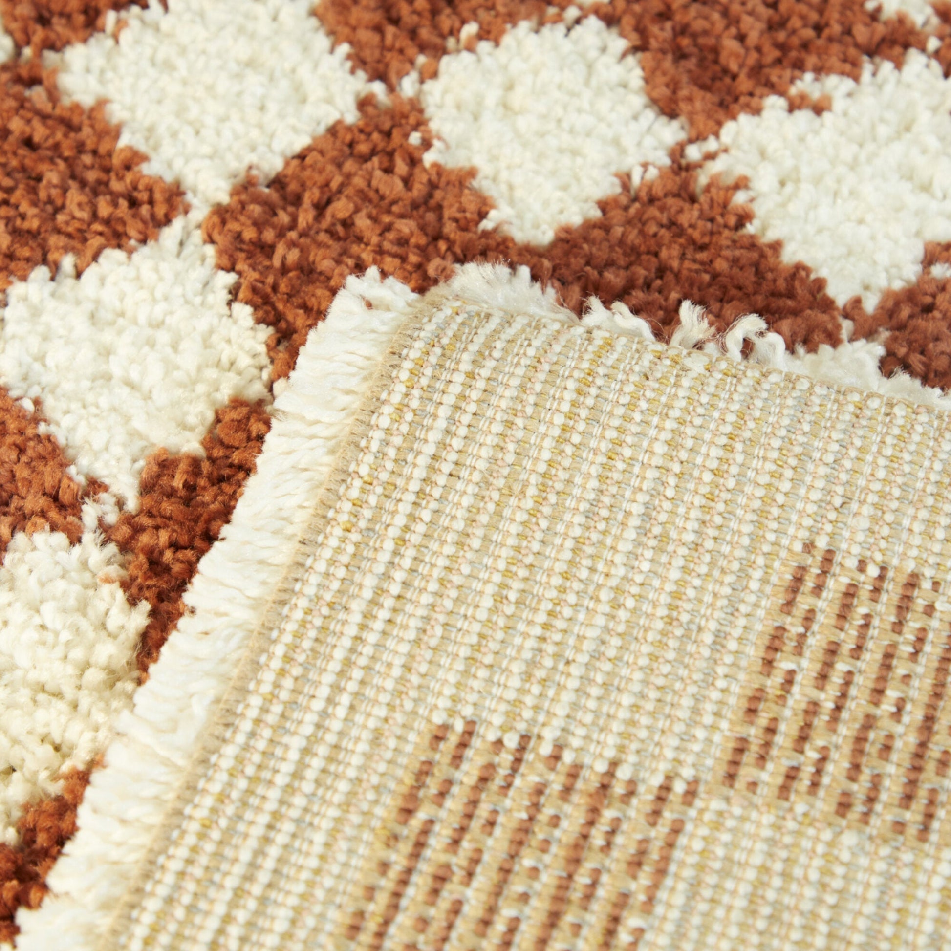 Covey Border Checkered Shag Area Rug