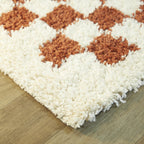 Covey Border Checkered Shag Area Rug
