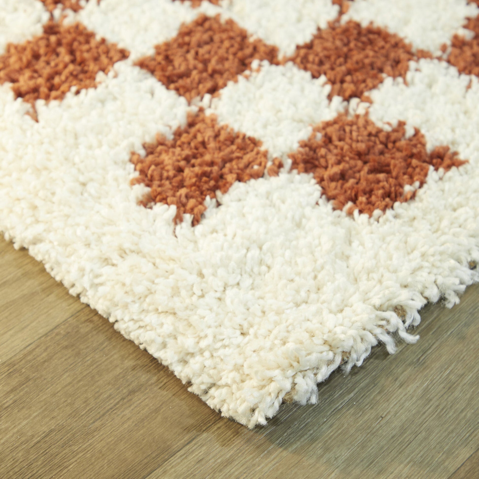 Covey Border Checkered Shag Area Rug