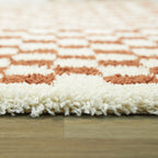 Covey Border Checkered Shag Area Rug