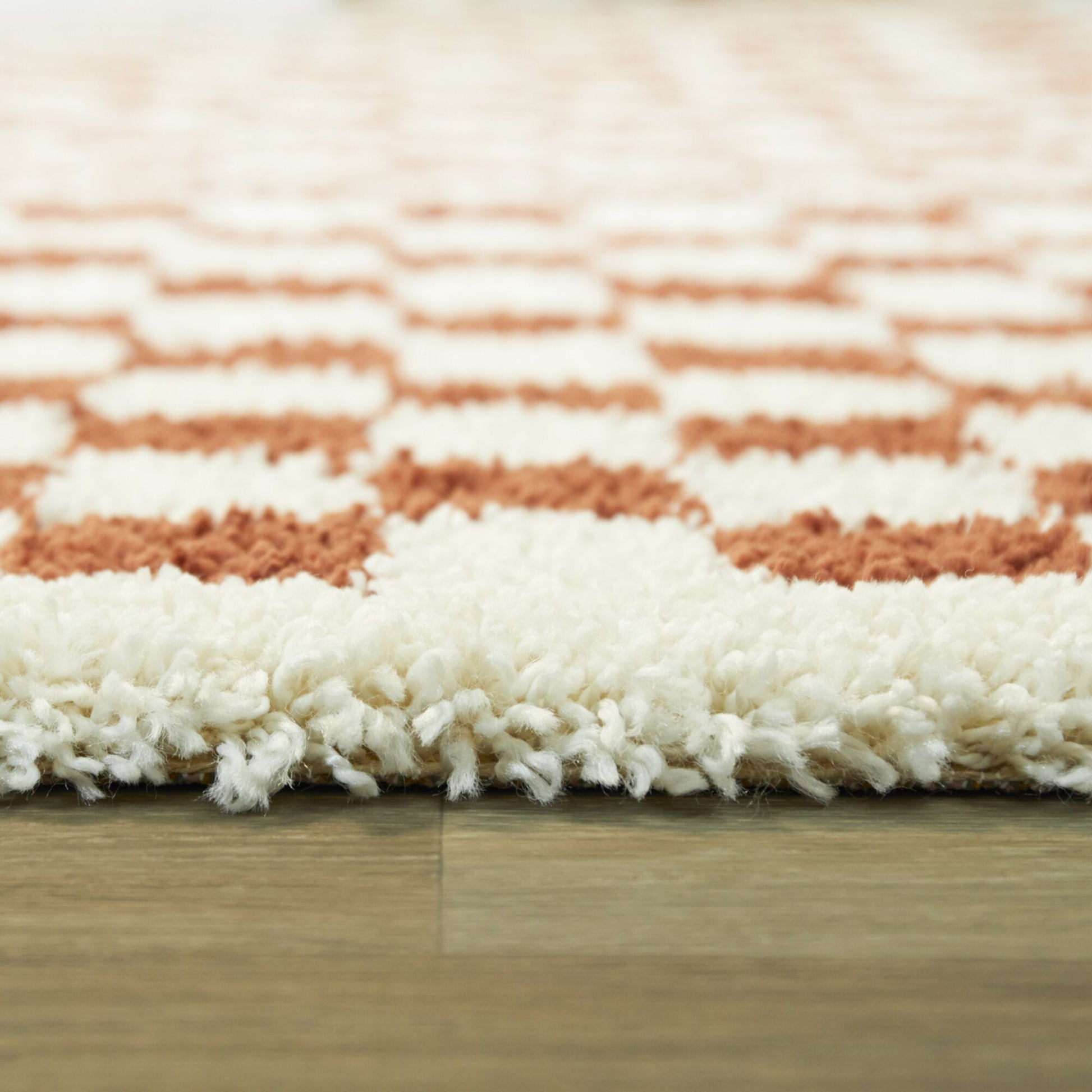 Covey Border Checkered Shag Area Rug