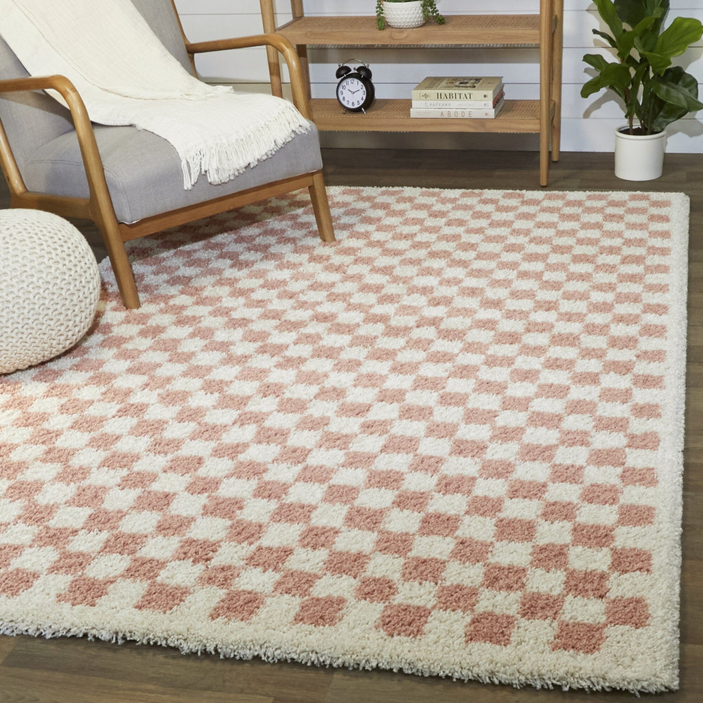 Covey Border Checkered Shag Area Rug
