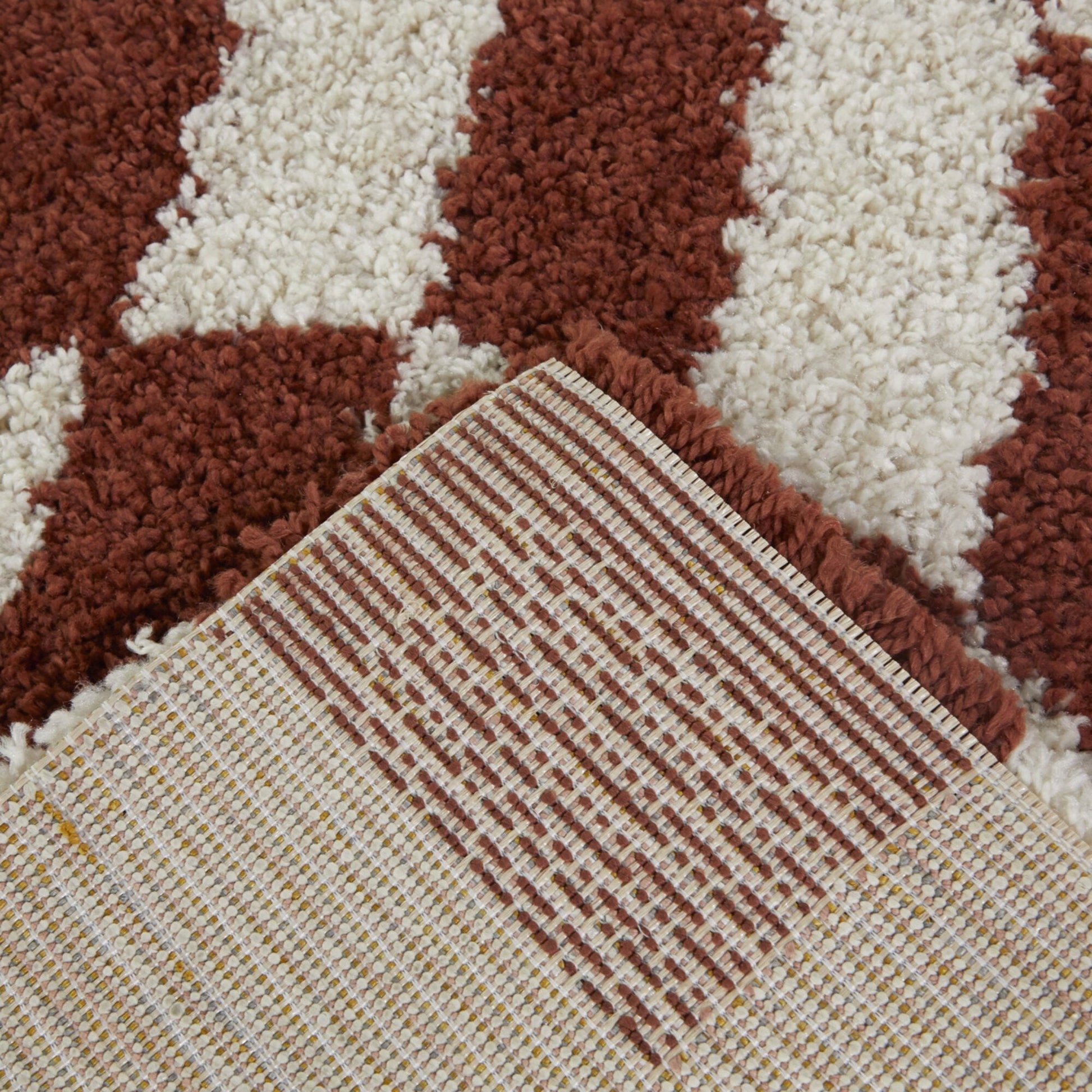 Luther Modern Checkered Shag Area Rug