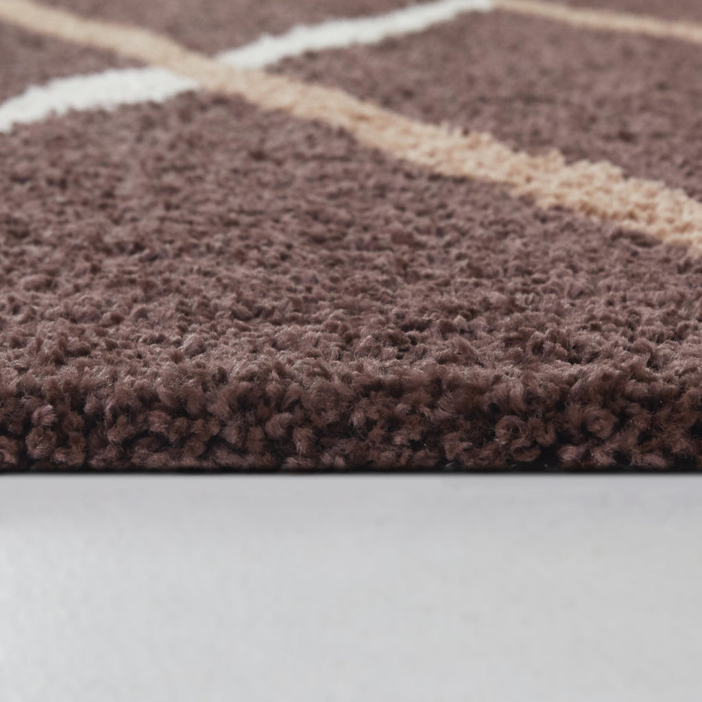 Lanier Contemporary Shag Area Rug