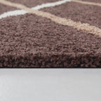 Lanier Contemporary Shag Area Rug
