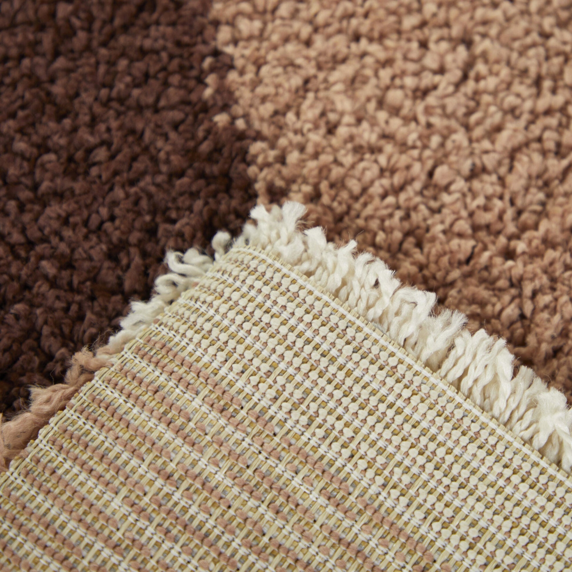 Amelia Rainbow Shag Area Rug