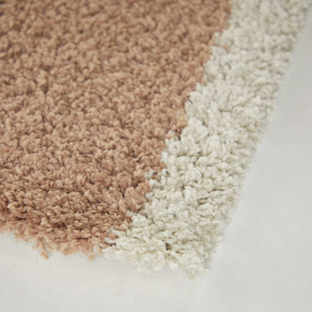 Amelia Rainbow Shag Area Rug