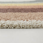 Amelia Rainbow Shag Area Rug