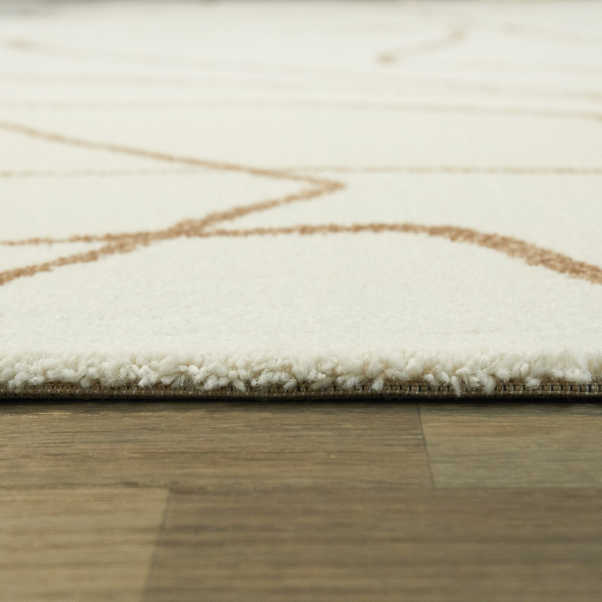 Abstract Modern Descartes Rug