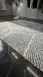 Larsen Modern Stripe Area Rug