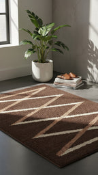 Lanier Contemporary Shag Area Rug